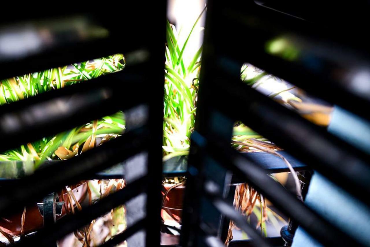 Casa Alfalfa 2 Dormitorios Terraza Y Solarium Privado Sevilla Buitenkant foto